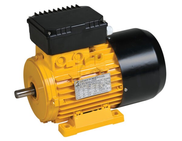 gold induction motor