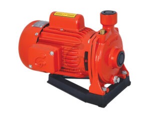 Golden Mono-Block Pumps - GOLDEN PUMPS