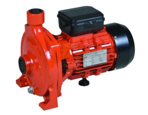 Golden Mono-Block Pumps - GOLDEN PUMPS