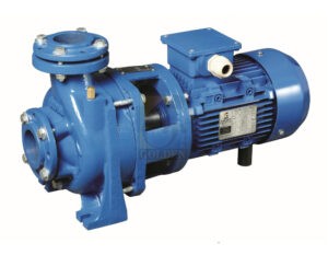 Golden Mono-Block Pumps - GOLDEN PUMPS